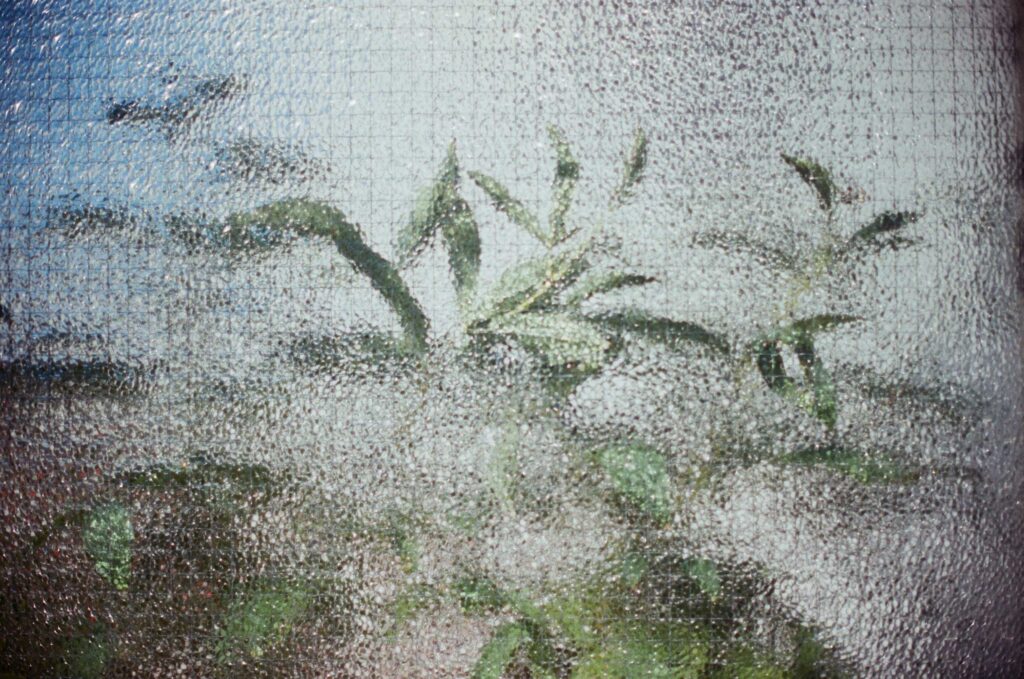 
Warning: Undefined variable $caption in /home/.sites/76/site6839838/web/cms/wp-content/themes/astridwagner/single.php on line 31
