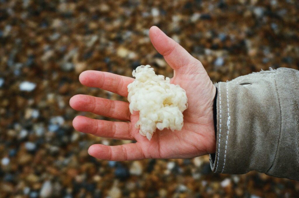 
Warning: Undefined variable $caption in /home/.sites/76/site6839838/web/cms/wp-content/themes/astridwagner/single.php on line 31
