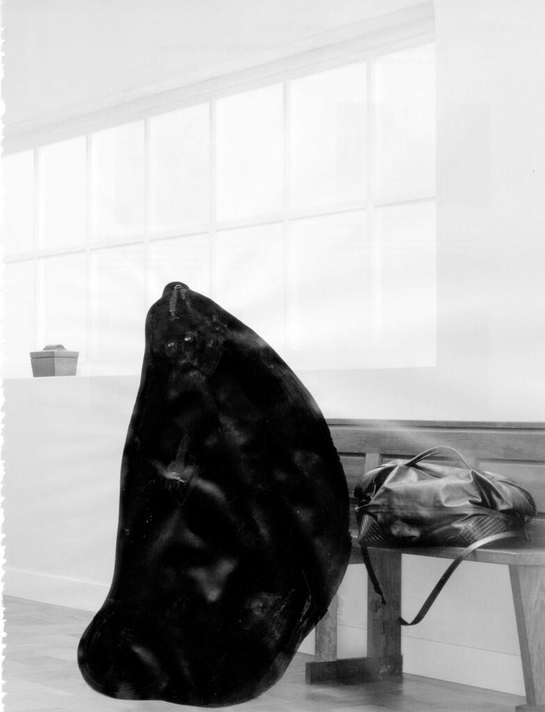 
Warning: Undefined variable $caption in /home/.sites/76/site6839838/web/cms/wp-content/themes/astridwagner/single.php on line 31
