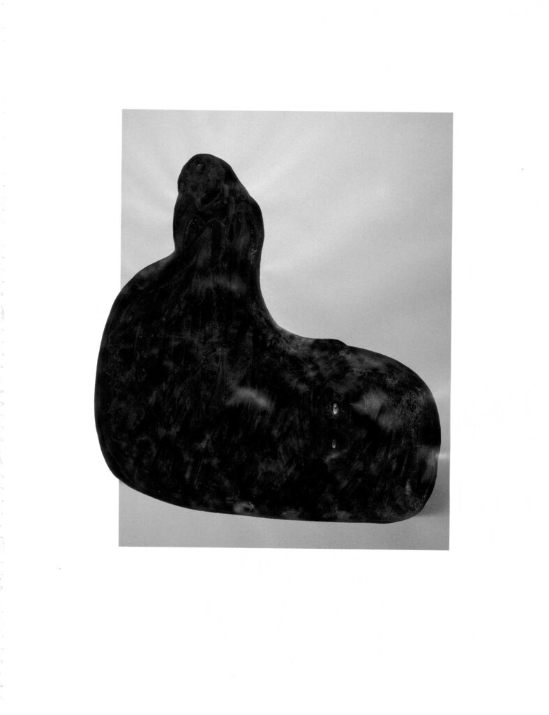 
Warning: Undefined variable $caption in /home/.sites/76/site6839838/web/cms/wp-content/themes/astridwagner/single.php on line 31
