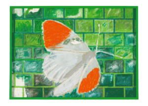 Astrid Wagner, Butterfly Edition